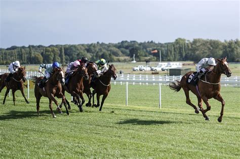 newbury racing results today|13:40 Newbury .